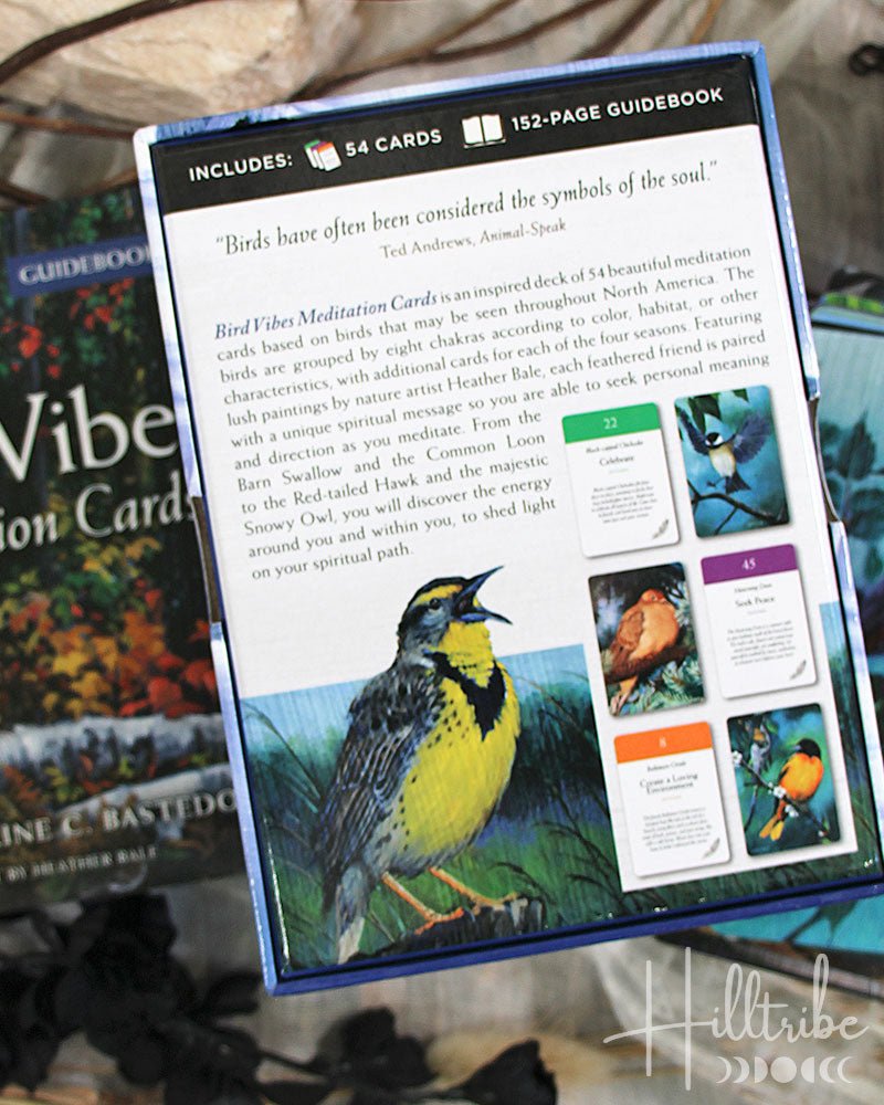 Bird Vibes Meditation Cards from Hilltribe Ontario