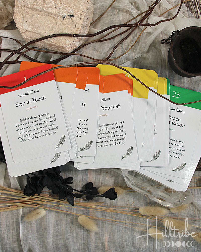 Bird Vibes Meditation Cards from Hilltribe Ontario