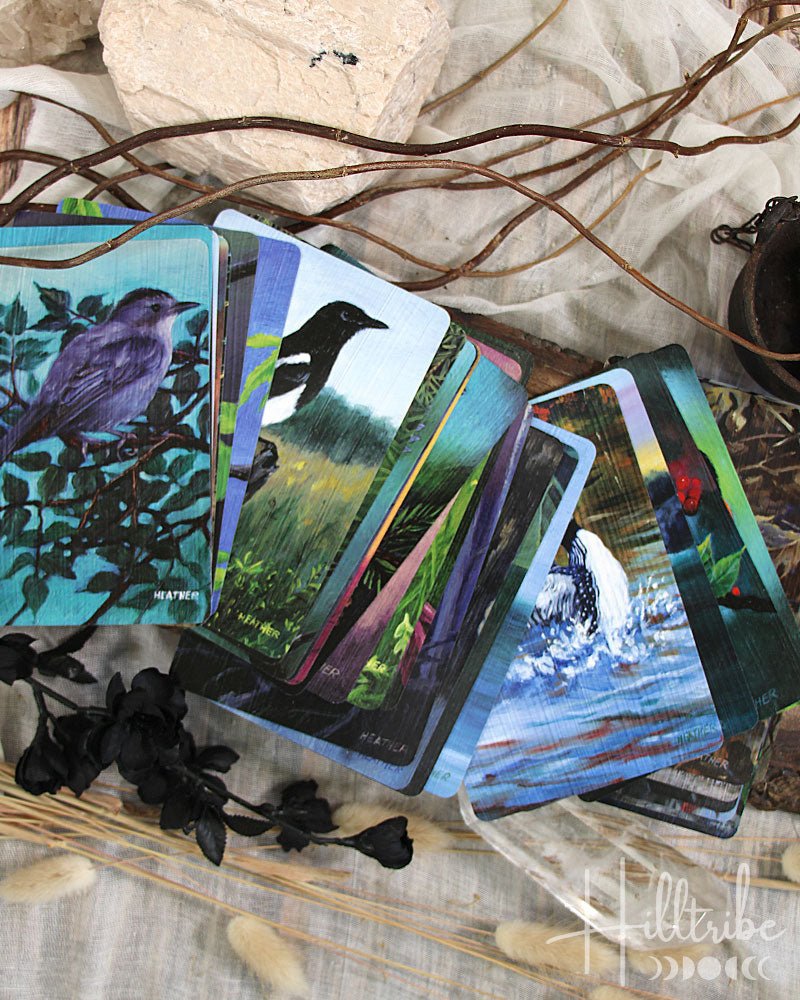 Bird Vibes Meditation Cards from Hilltribe Ontario