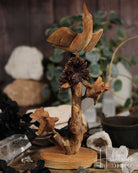 Birds Burl Wood Carving from Hilltribe Ontario