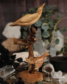 Birds Burl Wood Carving from Hilltribe Ontario