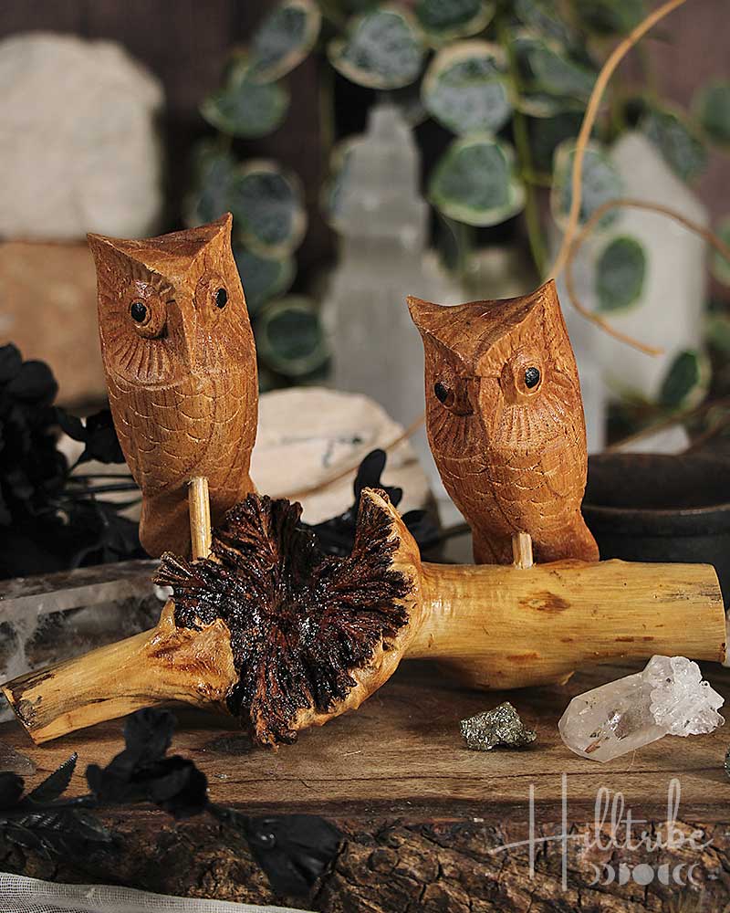 Owl Burl Wood Carving from Hilltribe Ontario