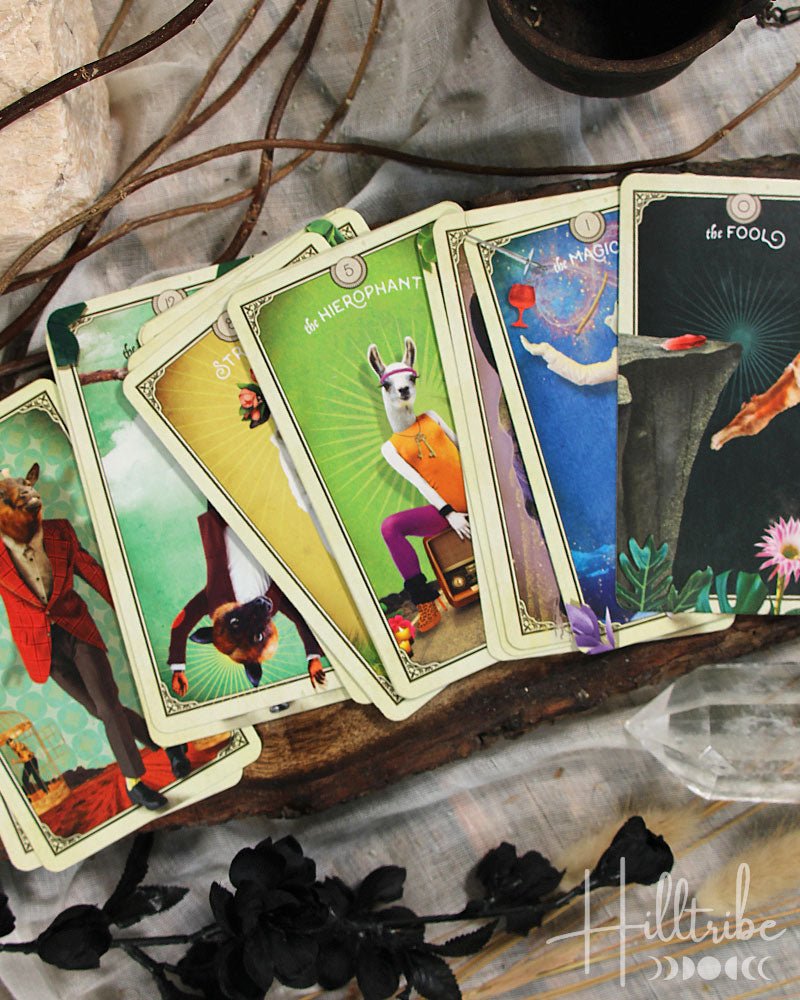 Tarot of Curious Creatures from Hilltribe Ontario