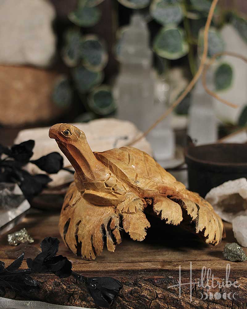 Turtle Burl Wood Carving from Hilltribe Ontario