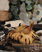 Turtle Burl Wood Carving from Hilltribe Ontario