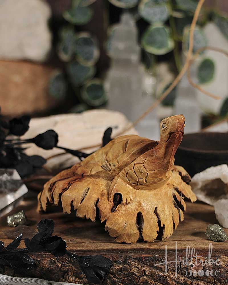 Turtle Burl Wood Carving from Hilltribe Ontario