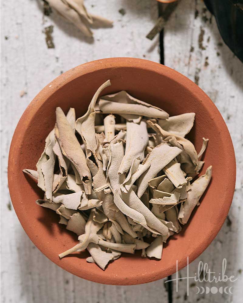 White Sage Loose Leaf from Hilltribe Ontario