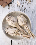 White Sage Smudge Bundle from Hilltribe Ontario